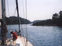 Törn 2001